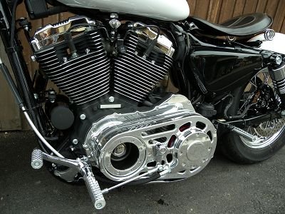 k-Sportster Bike